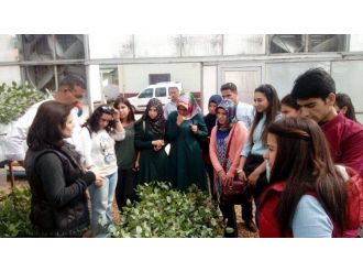 Dicle Üniversitesi Ziraat Fakültesi Öğrencilerinden Teknik Gezi