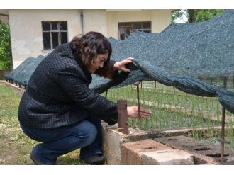 Isparta Lavanta Kokacak