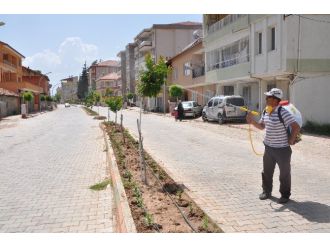 Böceklere Karşı İlaçlama Çalışmaları Devam Ediyor