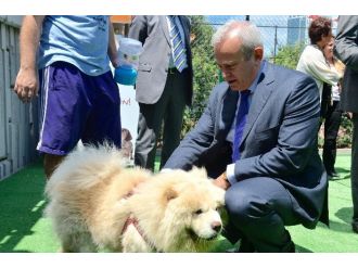 Doğaseverler Sıracevizliler Parkı’nda Buluştu