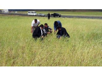Aksaray’da Tarlaları Dolu Vurdu