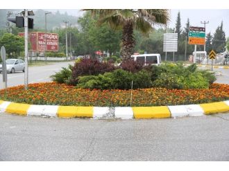 Yeşil Sapanca’da Çiçekler Açıyor