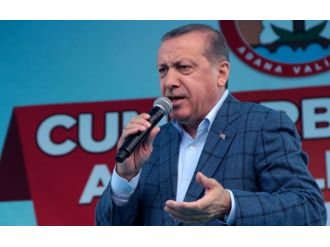 ’Tavuk Musunuz Da Sandığın Üzerine Tüneyeceksiniz ?’