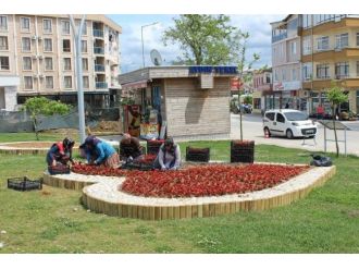 Akçakoca Çiçeklerle Süsleniyor