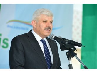 Dsi Büyük Oynuyor