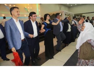 Siyasete ‘Halay’ Molası