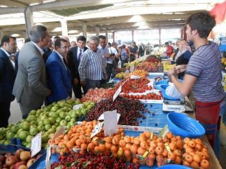 Ak Parti’li Turhan: Ülkede Kaos Ortamı Yaratılmaya Çalışıldı