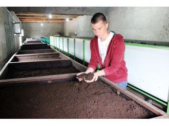 Merakla Başlayan Solucan Gübresi Üretimi Tüm Trakya’ya Yayıldı