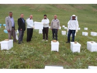 Hakkari’de Arı Dağıtımı