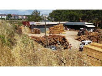 Kaldırıma Çarpan Otomobil Odun Deposuna Uçtu