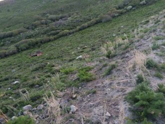 Pasinler’de Trafik Kazası: 1 Ölü 5 Yaralı