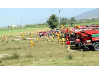 Ormancılardan Yangın Talimi