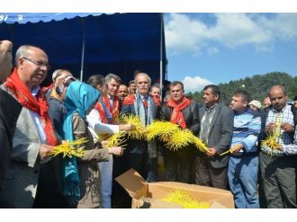 Dağ Yöresi İpek Böceği İle Kalkınıyor
