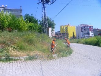 Belediyeden Yabani Ot Temizliği