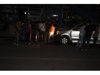 Başıboş Gezen İnek Kazaya Neden Oldu: 1 Yaralı