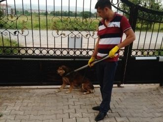 Kartepe’de Zabıtası’ndan Örnek Davranış