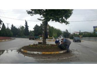 Kartepe Yolları Çiçekleniyor