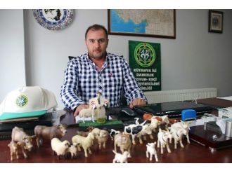 Bahattin Atakan: Hayvan Hastalıkları Araştırma Ve Tespit Labaratuvarı İstiyoruz