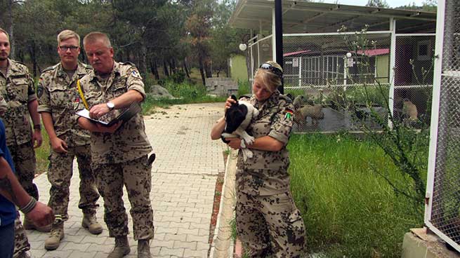 Nato Birliği’nden Sokak Hayvanları Rehabilitasyon Merkezine Ziyaret