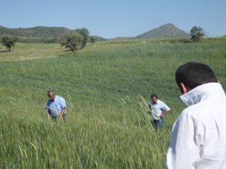 Beyşehir’de Ekili Alanlara 43 Bin Parazitoit Bırakıldı