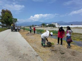 Kumluca Myo Öğrencileri, Yürüyüş Yolunu Çiçeklendirdi
