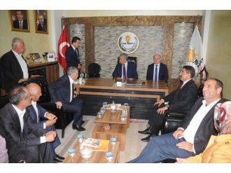 Başbakan Yardımcısı Arınç Cizre’de