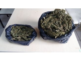 Şüphe, Bir Kilo Esrarı Yakalattı