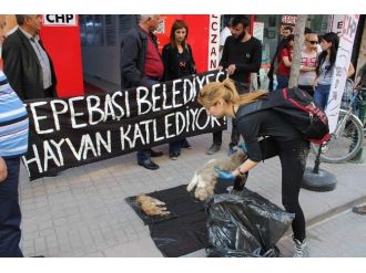 Eskişehir’de Hayvan Mezarlığı İddiası