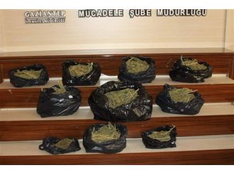 Gaziantep’te 17 Kilo Esrar Ele Geçirildi