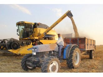 (Özel Haber) Gaziantep’te Arpa Hasadı Rekor Kırıyor