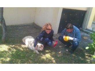 Zabıta Her İhbarı Değerlendiriyor