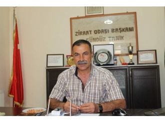 Tahılda Yüksek Bir Rekolte Bekleniyor