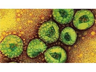 Güney Kore’de Mers Paniği