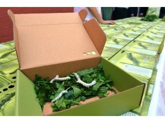 Bursa İpeğini Çocuklar Canlandıracak