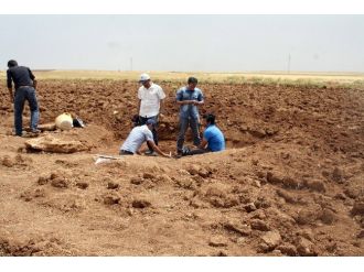Nusaybin’de Tunç Dönemine Ait Mezar Bulundu