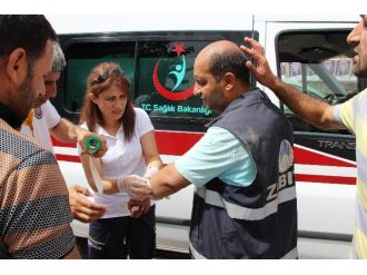 Diyarbakır’da Yıkım Gerginliği: Dört Zabıta Görevlisi Yaralandı
