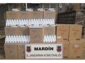 Gümrük Kaçağı 794 Bin 479 Paket Sigara Ele Geçirildi