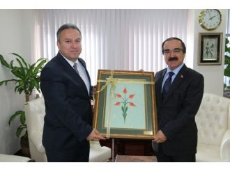 Sakarya Valisi Coş, Düzce Valisi Fidan’ı Ziyaret Etti
