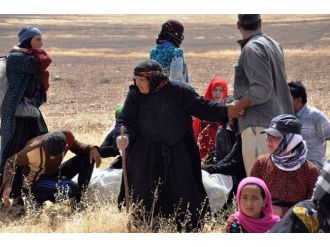 Sınırda Bekleyen Suriyeliler Minibüsle Akçakale’ye Getirildi