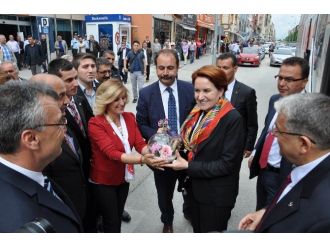 Meral Akşener’in Bozüyük Ziyareti
