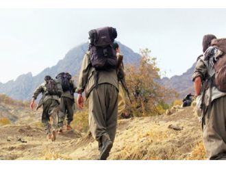 1 Pkk’lı Teslim Oldu