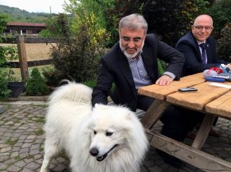 ’Kedileri Trafolardan Uzak Tutun’ Açıklamasını Yorumladı