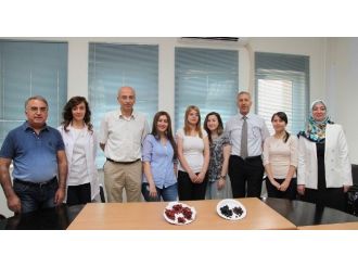 Gaün’ün Projesine Ab’den Destek