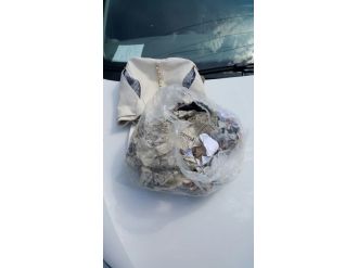 Bin Kilometre Yol Kat Etti, 100 Gram Esrarla Tutuklandı