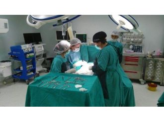 Engelli Bireylerin Diş Tedavileri Artık Daha Kolay