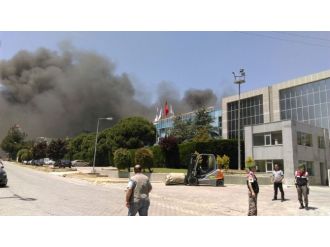 İstanbul’da Korkutan Yangın