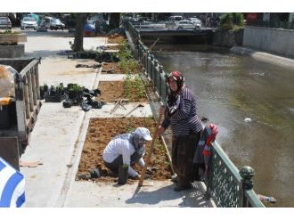 Akçakoca’da Çiçeklendirme Çalışmaları Sürüyor