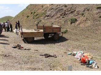 Berivanları Taşıyan Traktör Devrildi: 29 Yaralı