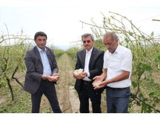 Manisa’da Dolu Felaketi