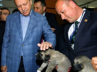 Erdoğan’a Sürpriz Hediye